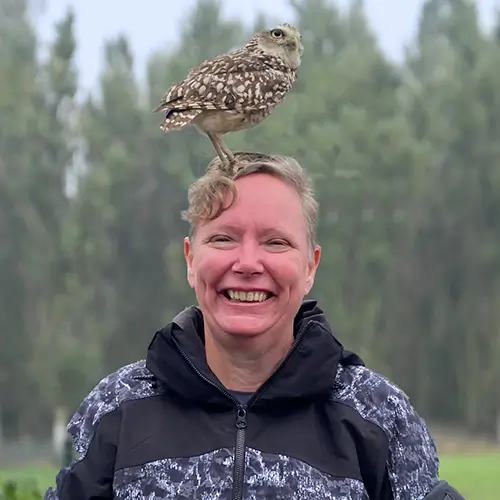 Net zoals deze slimme vogel, wil jij dat jouw website overzichtelijk en gebruiksvriendelijk is.